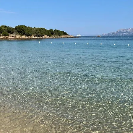Апартаменты Saetta Di Gallura, 2 Km Da P. Rotondo Порто-Ротондо
